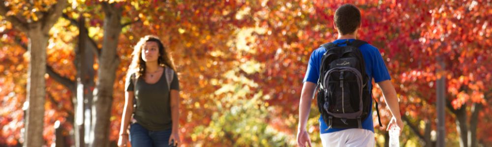 fall leaves with students walking